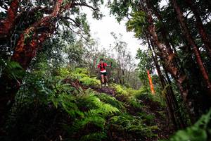 BIB: 
                            <button type="button" onclick="openModal(26201178)" class="btn btn-primary btn-sm float-right btn-popup" data-toggle="modal" data-target=".modal-high-quality">
                        <i class="fas fa-shopping-cart"></i> Add to Cart
                    </button>
                                            <button type="button" onclick="isThisMe(26201178, true)" class="btn btn-success btn-sm float-right btn-popup btn-isme hidden" data-toggle="tooltip" data-placement="bottom" title="นี่คือรูปของคุณใช่ไหม คลิกที่นี่เพื่อเอาเข้าอัลบั้ม">
                        <i class="fas fa-plus"></i> Add to album
                    </button>
                    <button type="button" onclick="isThisMe(26201178, false)" class="btn btn-warning btn-sm float-right btn-popup btn-isnotme hidden">
                        <i class="fas fa-ban"></i> Remove from album
                    </button>